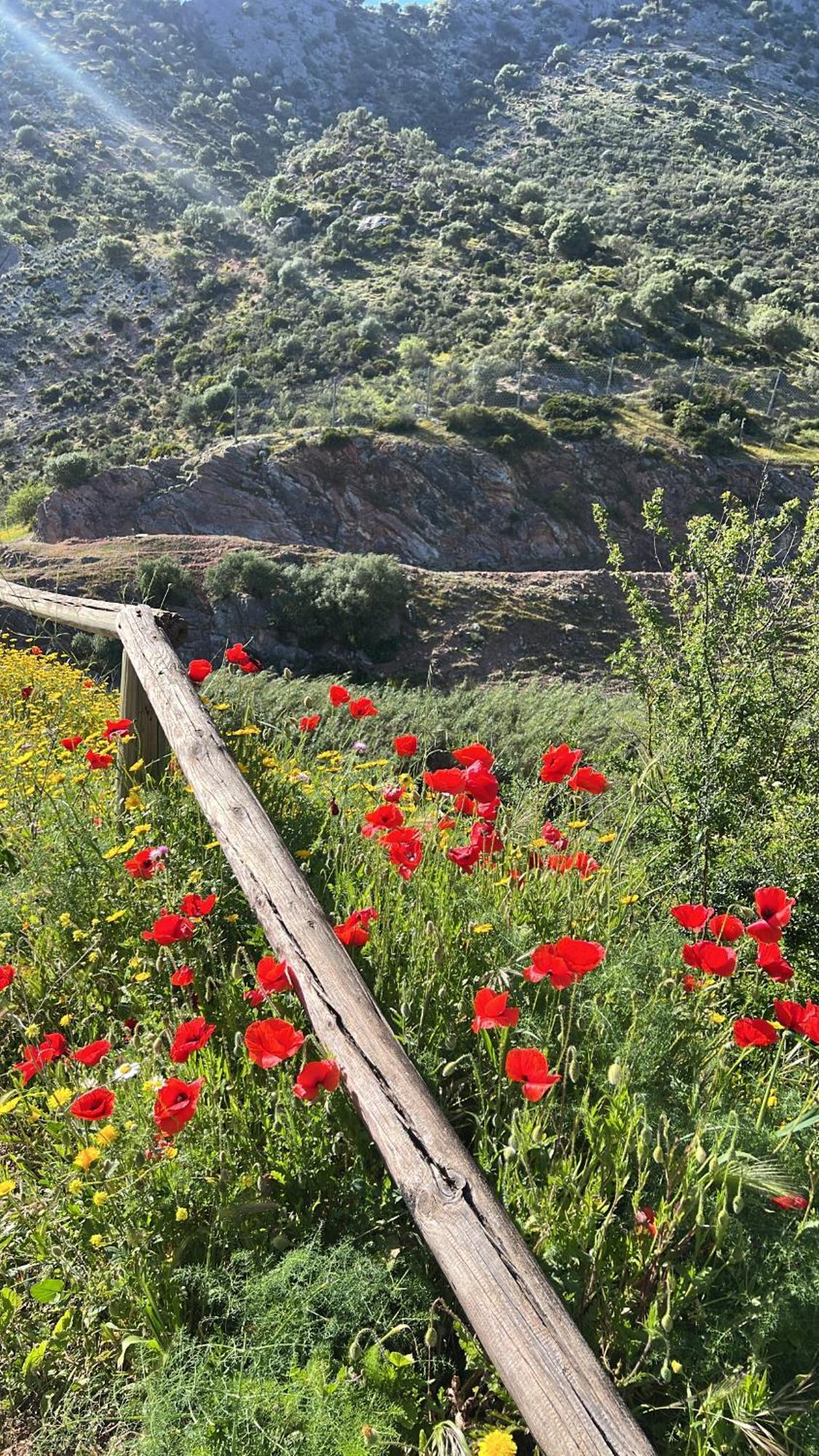 Casa Rural Las Rosas De Benaoján Zewnętrze zdjęcie
